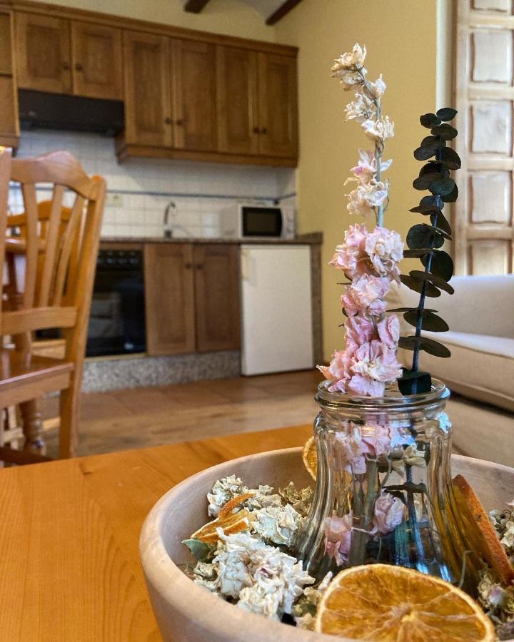 Ahio San Martin, Apartamentos Rurales Casa De La Villa San Martin de Oscos Ngoại thất bức ảnh
